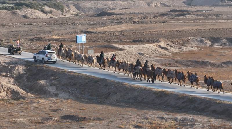 新疆20多人騎駱駝去洛陽,已走60多天,曾遇12級大風(fēng)!