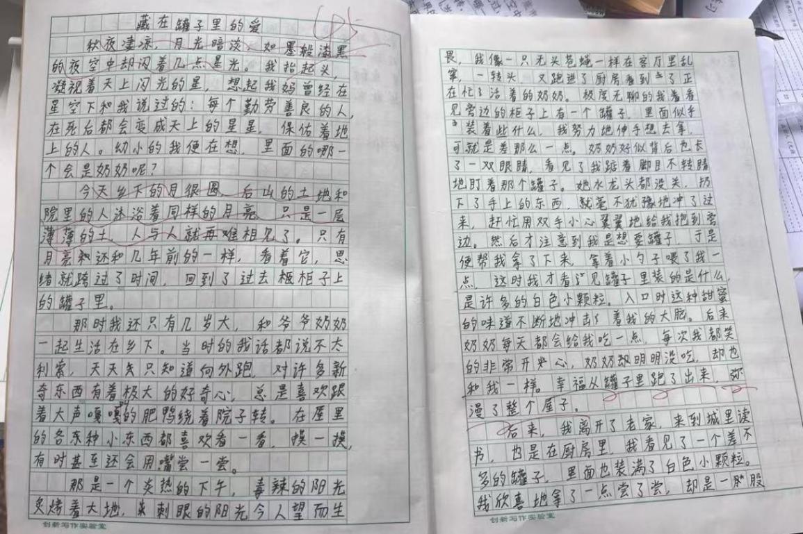 婁底14歲初中生作文看哭全網(wǎng),回應(yīng)評論用AI質(zhì)疑:算是另一種夸獎